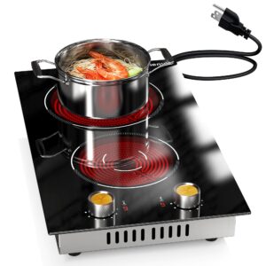 2 Burners Electric Cooktop, Plug in Electric Stove 110v, Countertop & Built-in Electrics Stove Top, 12 Inch Cooktop Knob Control, 9 Power Levels, 2000W, Gold Knob, Karienvir