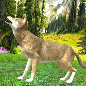 Wolf Quest,Wolf Simulator,Wolf Game