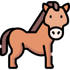 Awesome Horse Videos