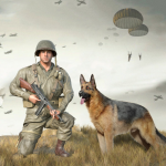 World War 2 : Call Of Courage