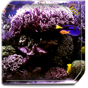 Aquarium Radiance HD - Wallpaper & Themes