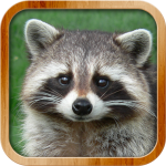 Animals for Kids - Animal Sounds (Full Game)