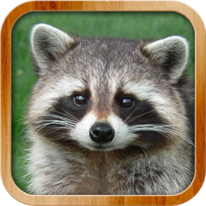 Animals for Kids - Animal Sounds (Full Game)