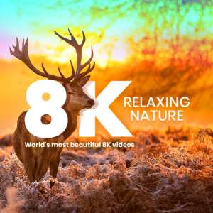 8K Landscapes